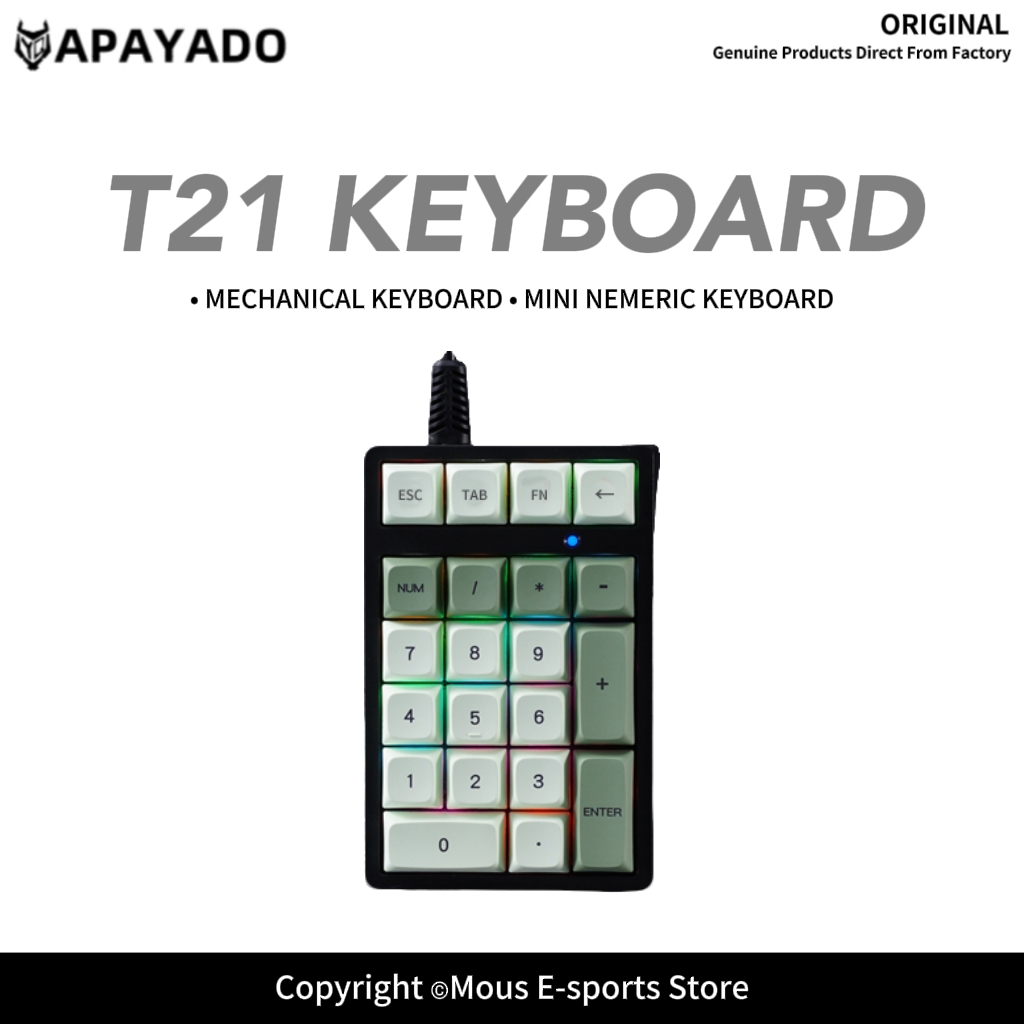 Keyboard Numpad Separate - لوحة مفاتيح رقمية سلكية T21 APAYADO